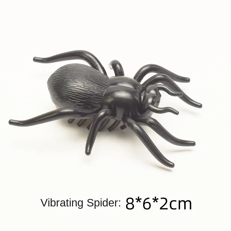 spider