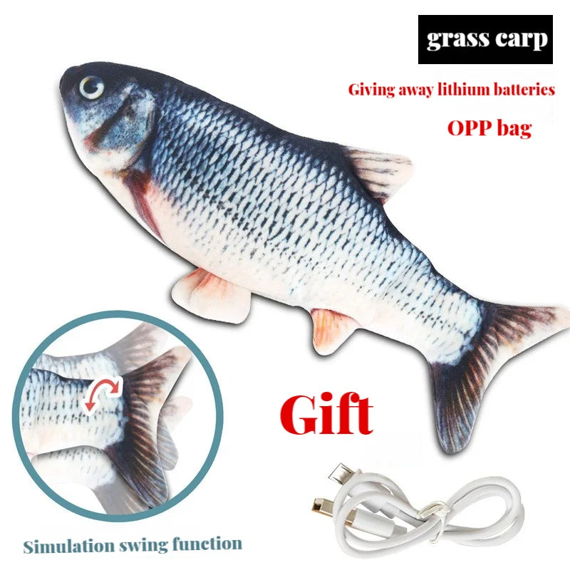 A grass carp